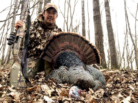 Mud Gun Turkey|The Best Turkey Shotgun .